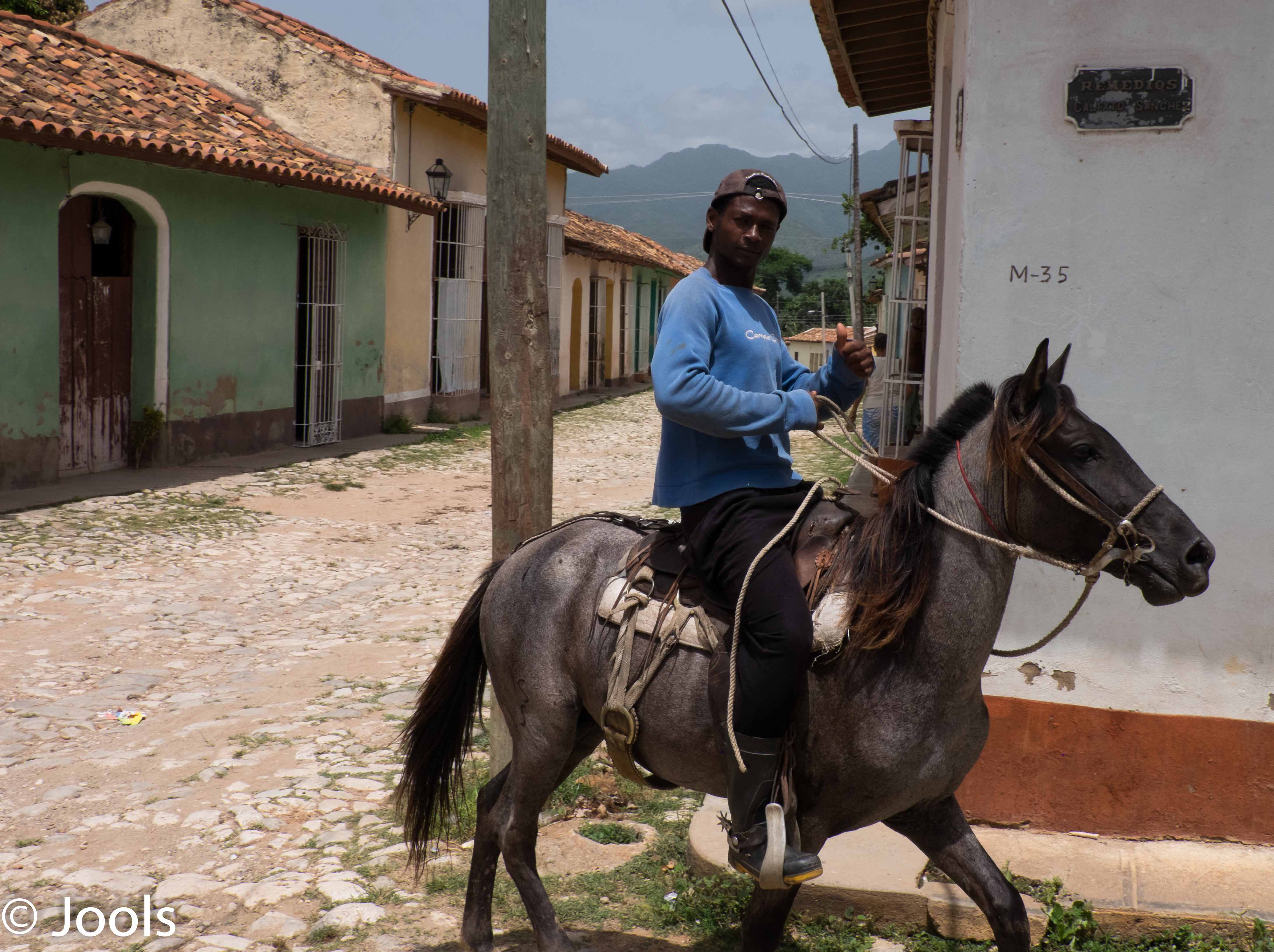 Trinidad horse&amp;rider lowres